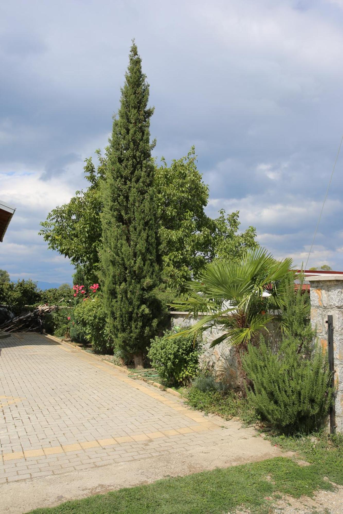 Villa Goriza Prestige Охрид Экстерьер фото